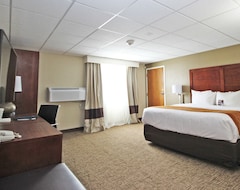 Pensión Comfort Inn Butte City Center I-15 - I-90 (Butte, EE. UU.)