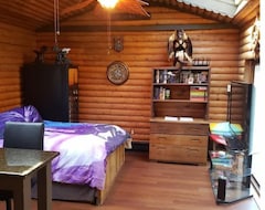 Hele huset/lejligheden Dragon In My Cabin By The Pool Jacuzzi And Sauna (White Hall, USA)