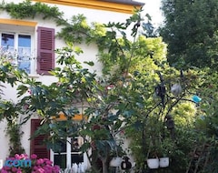 Toàn bộ căn nhà/căn hộ Gite Douillet Chauvry 24km Paris (Chauvry, Pháp)