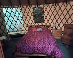 Koko talo/asunto Relaxing Fallcreek Vacation Yurt (Fall Creek, Amerikan Yhdysvallat)