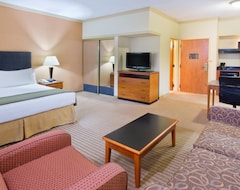 Holiday Inn Express Hotel & Suites Irving Dfw Airport North, An Ihg Hotel (Irving, Sjedinjene Američke Države)