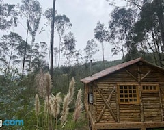 Toàn bộ căn nhà/căn hộ The Hideout- A Cabin In Nature; 25 Min From Cuenca (Cuenca, Ecuador)