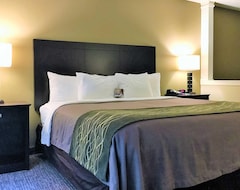 Hotel Comfort Inn & Suites Porter Near Indiana Dunes (Porter, USA)