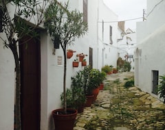 Casa/apartamento entero Luxurious Apartment - Free Wifi & Garage - Lift- In The Heart Of Cadiz Old Town (Cádiz, España)