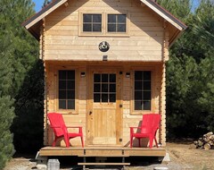 Tüm Ev/Apart Daire Sawyers Eco-friendly Cabin (Simcoe, Kanada)