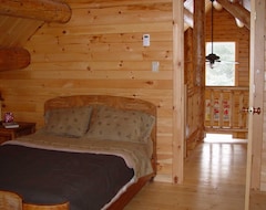 Entire House / Apartment Adirondack Log Home For Rent Near Lake Placid Ny In Adirondack State Park (Saranac, USA)