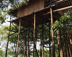 Juma Lodge - Hotel Selva (Careiro, Brezilya)