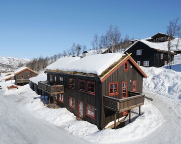 Lejlighedshotel Vierli Hyttegrend (Vinje, Norge)