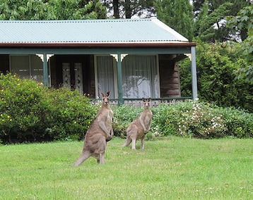 Hotelli Cedar Lodge Cabins (Katoomba, Australia)