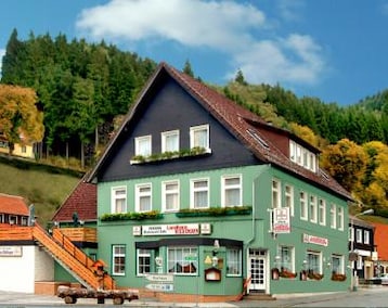 Hotelli Wildemann (Wildemann, Saksa)