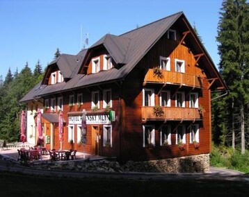 Hotel Anenský Mlýn (Rícky v Orlických Horách, República Checa)