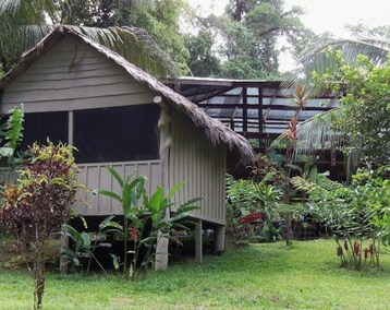 Hotelli Complejo Ecoturistico Tamandua (Sierpe, Costa Rica)