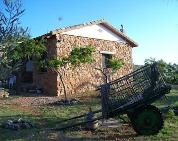 Casa rural El Palomar (Ossa de Montiel, Espanja)