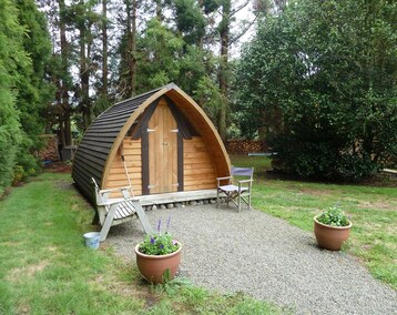 Koko talo/asunto Tui Ridge Eco Cabins (Rotorua, Uusi-Seelanti)