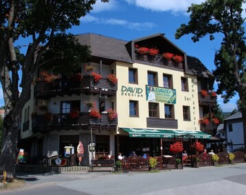 Hotelli David Wellness Hotel (Harrachov, Tsekin tasavalta)