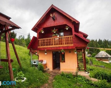 Koko talo/asunto Cabana Cret (Gârda de Sus, Romania)