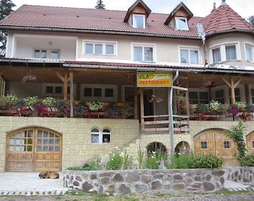 Hotel Vila Apuseni (Arieşeni, Rumanía)