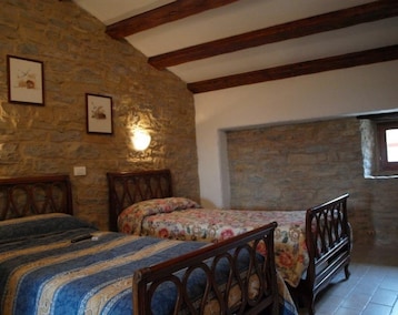 Bed & Breakfast al Merlo Olivo, rural istrian house (Buje, Croacia)