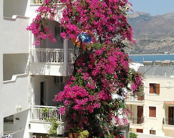 Hotel Roses Studios (Pigadia - Karpathos, Grækenland)