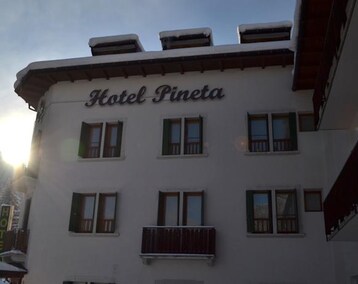 Hotelli Pineta (Falcade, Italia)