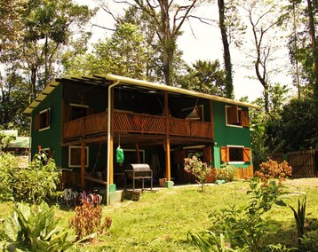 Hotelli Jungle Green House (Puerto Viejo de Talamanca, Costa Rica)