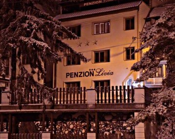 Hotel Penzionlivia,Tr.teplice (Trenčianske Teplice, Slovakiet)