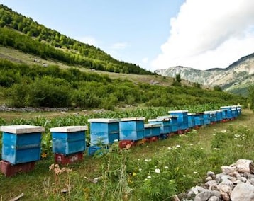 Koko talo/asunto Bee Eco Guest House (Fushë-Arrëz, Albania)