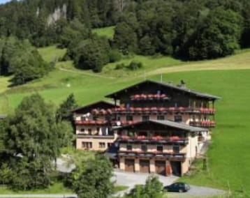 Hotel Alpengasthof Stiegernigg (Viehhofen, Austria)