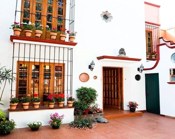 Hotel Very Close To The House Of Frida Kahlo! (Mexico City, Mexico)
