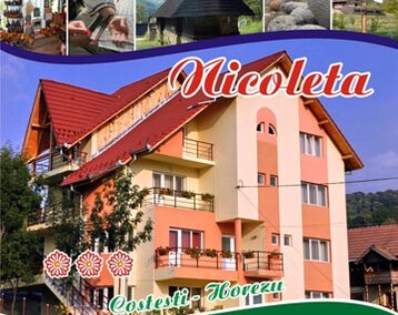 Hotel Nicoleta (Horezu, Rumænien)