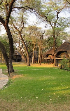 Pensión Tree Lodge Sikumi (Hwange, Zimbaue)