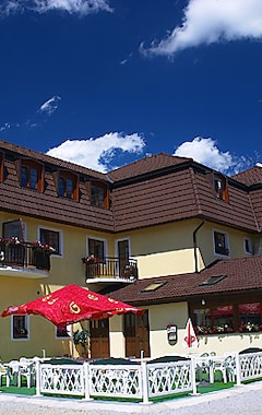 Hotel Na Plazi (Horní Planá, Tjekkiet)