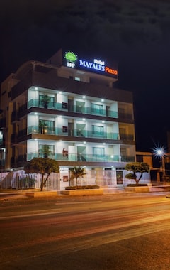 Hotel Mayales Plaza (Valledupar, Colombia)