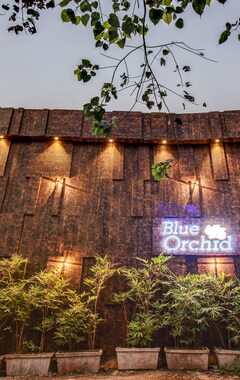 Hotel Treebo Trip Blue Orchid (Navi Mumbai, India)