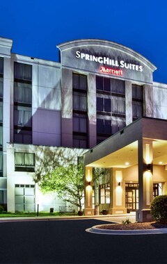 Hotelli Springhill Suites by Marriott Chicago Elmhurst/Oakbrook Area (Elmhurst, Amerikan Yhdysvallat)