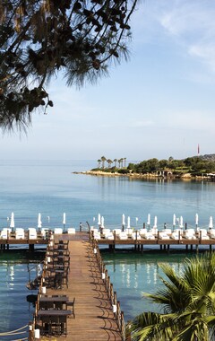 Hotel Rixos Premium Bodrum (Bodrum, Tyrkiet)