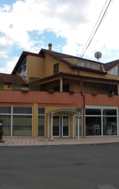 Hotel Vila Veneto (Timisoara, Rumænien)