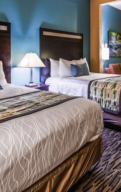Hotelli Best Western Mcdonough Inn & Suites (McDonough, Amerikan Yhdysvallat)