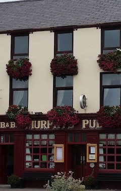 Murphy's Pub and Bed & Breakfast (Dingle, Irlanda)