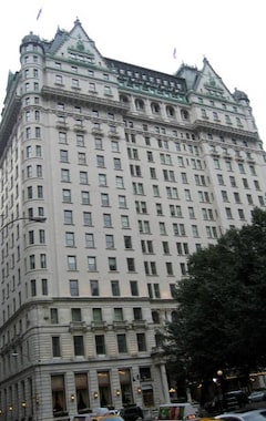 Hotel The Ritz-Carlton New York, Central Park (New York, USA)