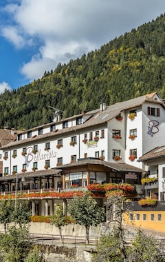 Hotelli Hotel Bellavista (Ravascletto, Italia)