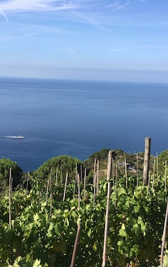 Casa rural Villa Pietrafiore (Monterosso al Mare, Italia)