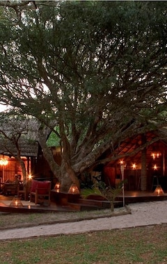 Hotel Kosi Forest Lodge (Manguzi, Sydafrika)