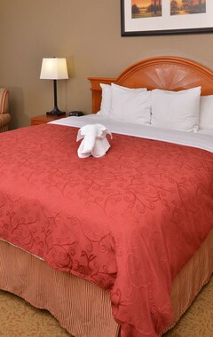 Hotelli Country Inn & Suites by Radisson, Stone Mountain, GA (Stone Mountain, Amerikan Yhdysvallat)