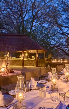 Hotel Karongwe Portfolio - Chisomo Safari Camp (Hoedspruit, Sydafrika)