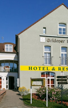Hotel Goldener Fasan (Oranienbaum, Tyskland)