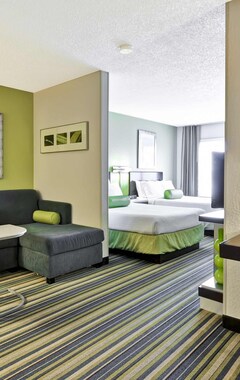 Hotel SpringHill Suites by Marriott Houston Hobby Airport (Houston, USA)