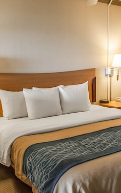 Hotelli Comfort Inn & Suites Ocean Shores (Ocean Shores, Amerikan Yhdysvallat)