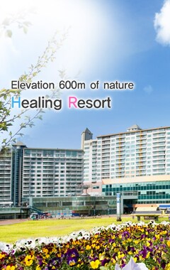 Hotelli Welli Hilli Park (Hoengseong, Etelä-Korea)