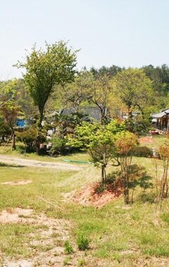 Gæstehus Gangjin Dahyang Shrink Hanok Min Bak Pension (Gangjin, Sydkorea)